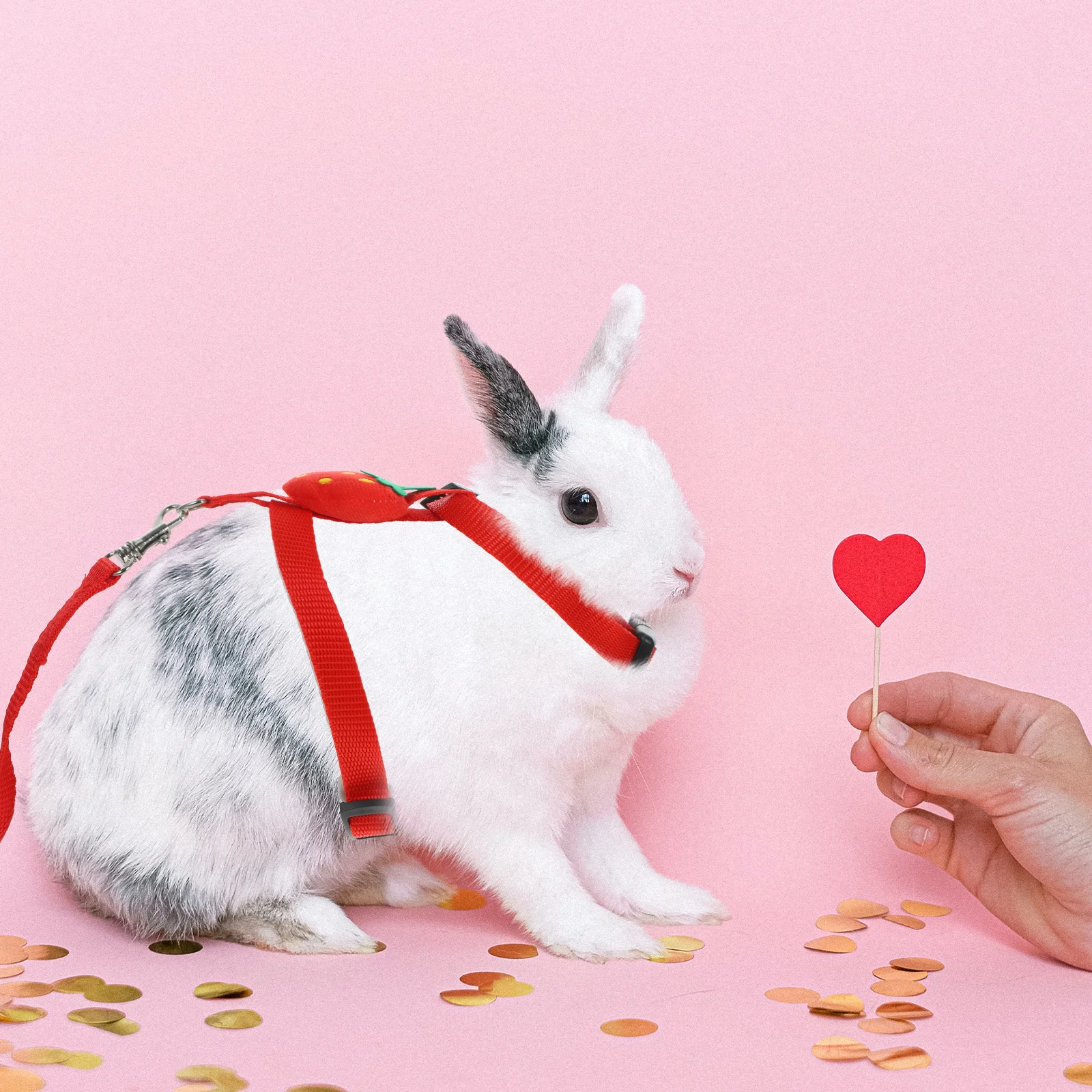 

2 set 2 Sets Pet Leash Harness Set For Rabbit Bunny Small Pets Durable Adjustable Decorative Sturdy Gift Use Random Style