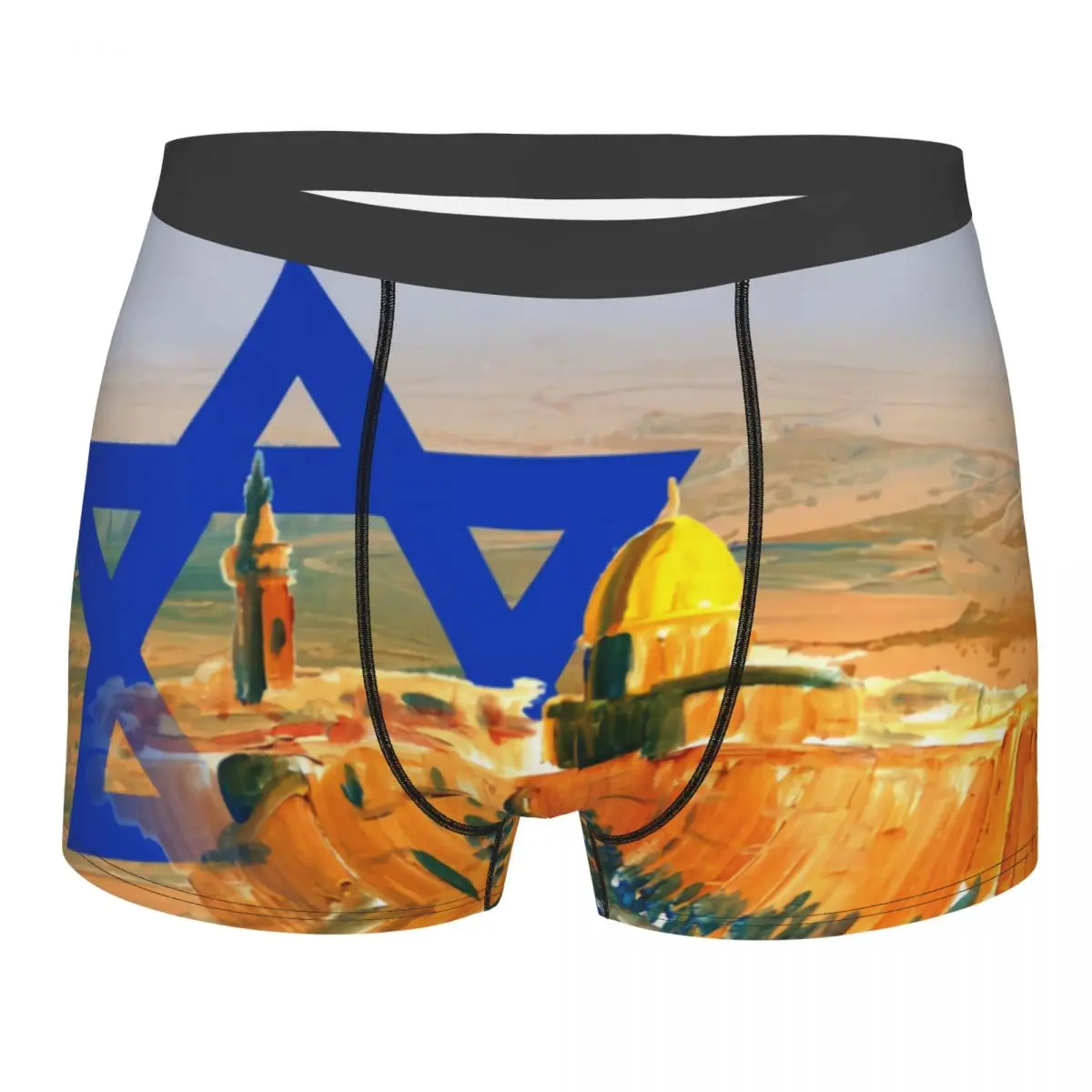 

Мужские трусы-боксеры с принтом флага Израиля и пустыни Негев, сексуальные, на заказ