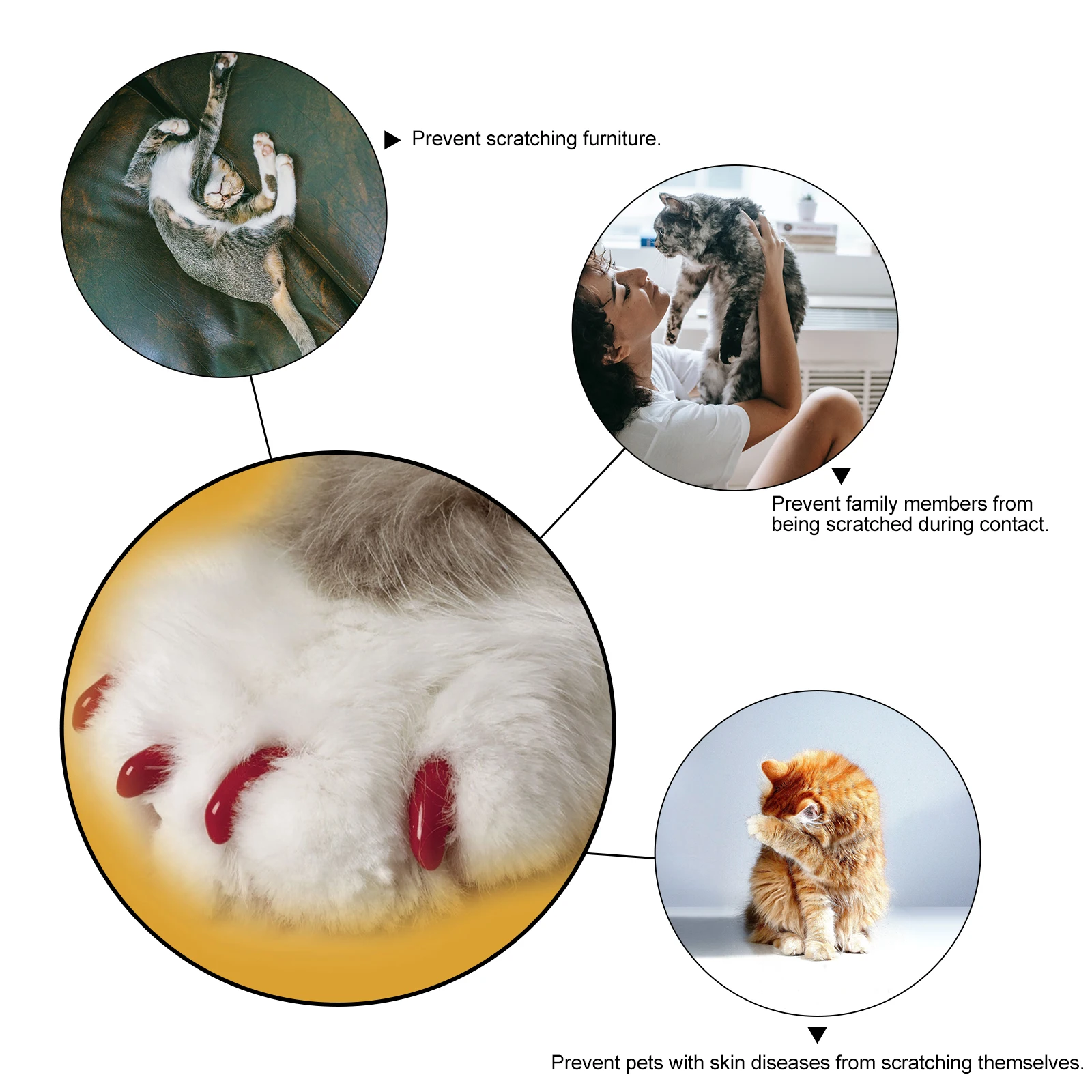 

160Pcs Cat Nail Caps Durable Silicone Pet Claw Covers Prevent Scratch Disease