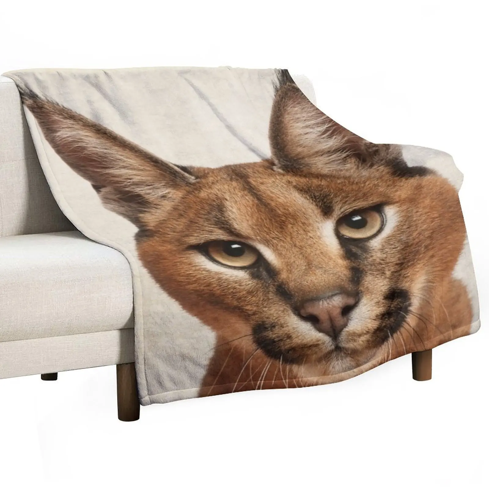 

Caracal Cat Art, Savanna Animal Portrait Throw Blanket Designers Quilt wednesday Decorative Throw Blankets