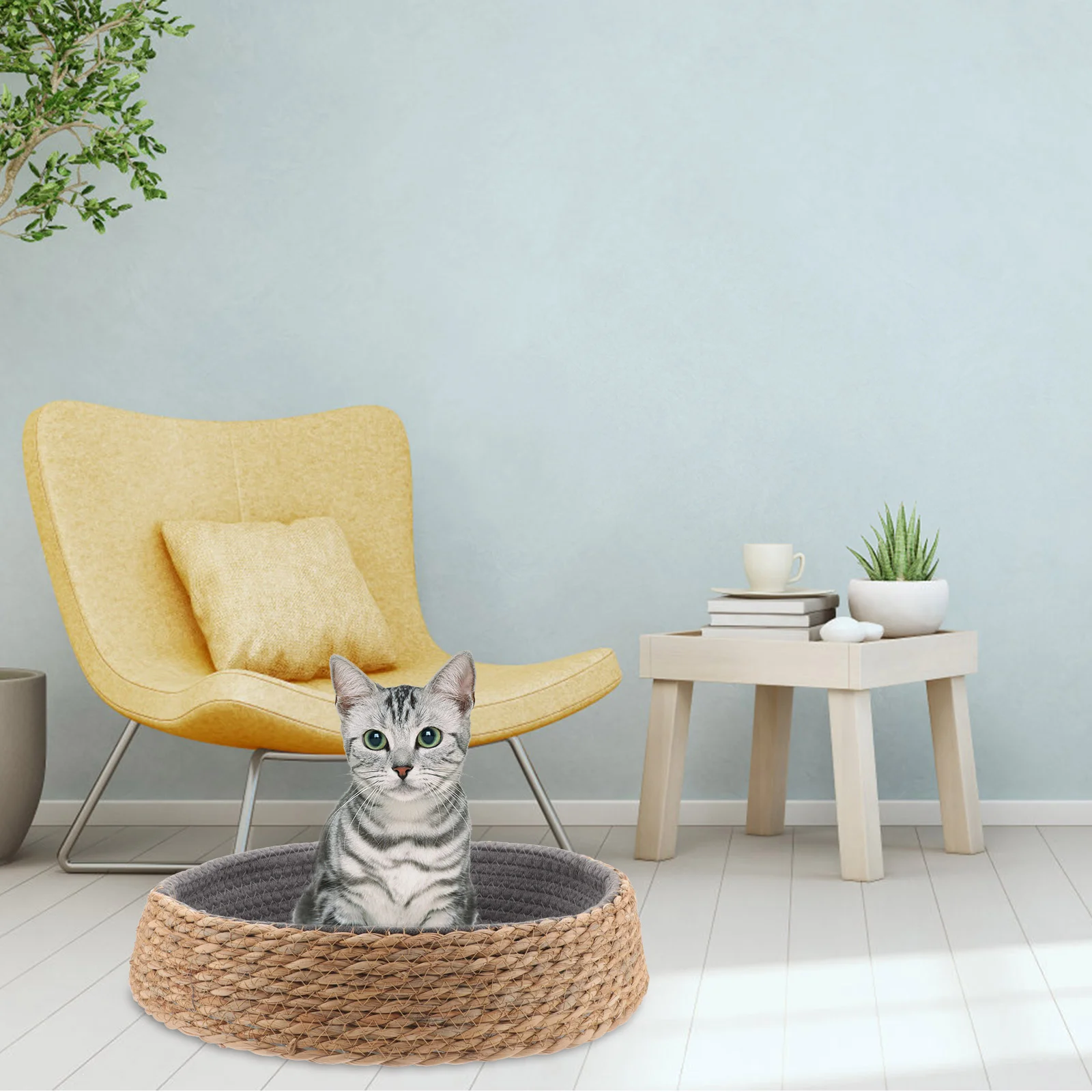 Rattan Pet Bed Lovely Design Sleeping House Dog Baskets Medium Small Comfortable Grass Willow Warm Neat Cat Nest Rest and