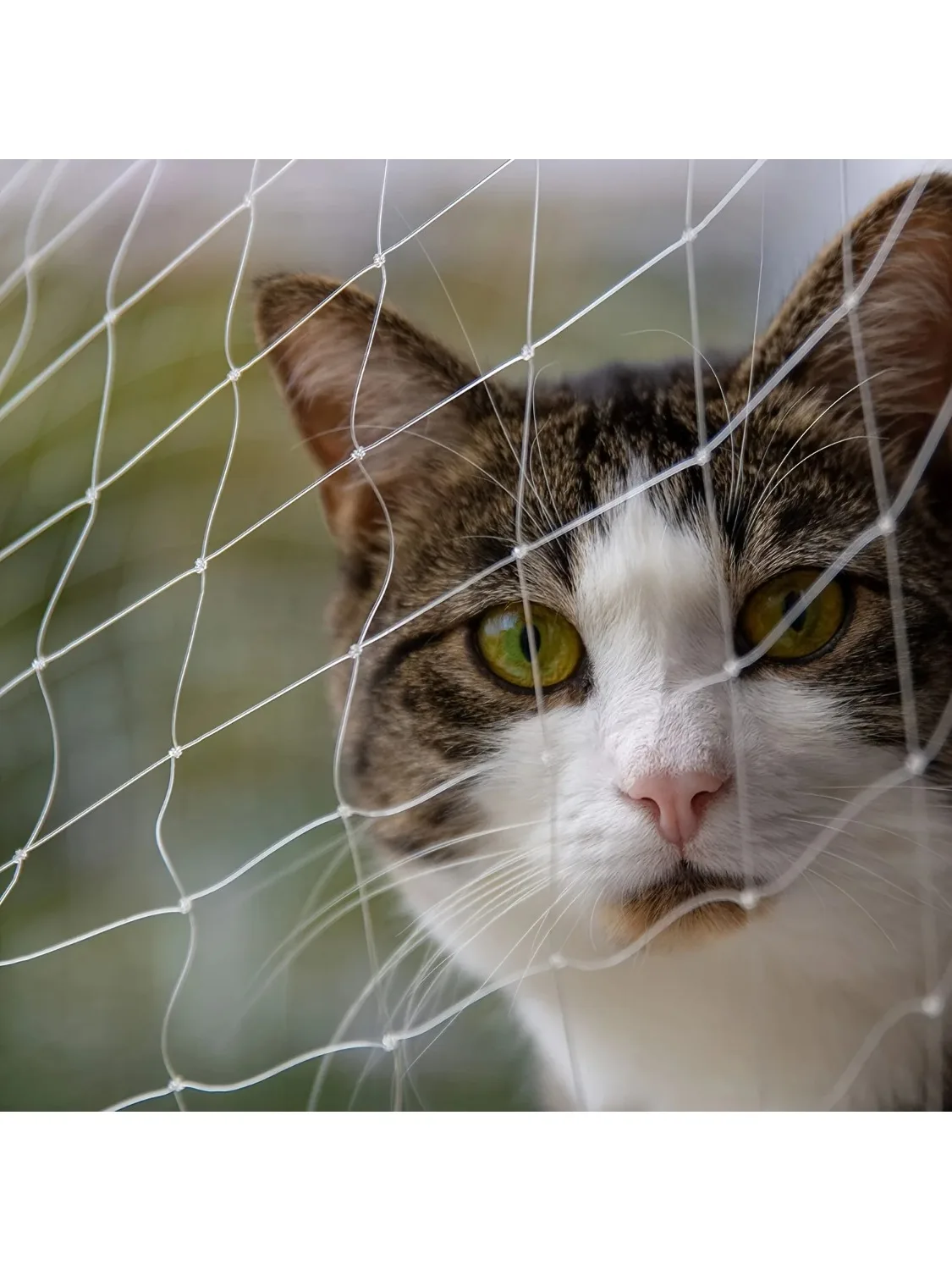 1 Set Transparentes Katzenschutznetz in Verschiedenen Größen mit Zubehör für Balkon und Treppen - Verhindert Haustierstürze und Ausbrüche
