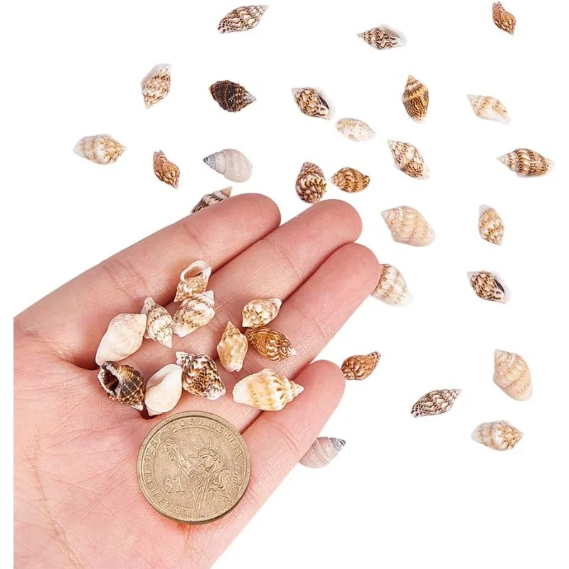 1500pcs Mixed Ocean Sea Shells Natural Seashells Spiral Shell Beads for Fish Tank Home Decor Beach Theme Party Candle Making