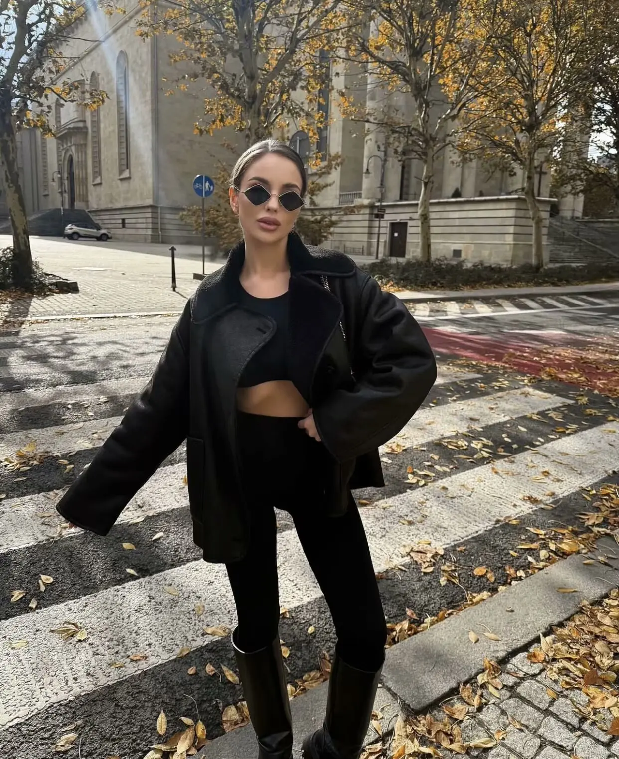 Autumn Faux Jackets Outwear Women Fashion Fashion Turn-Down Collar Three-Color Shearling Long Sleeve Jacket  Short Coat