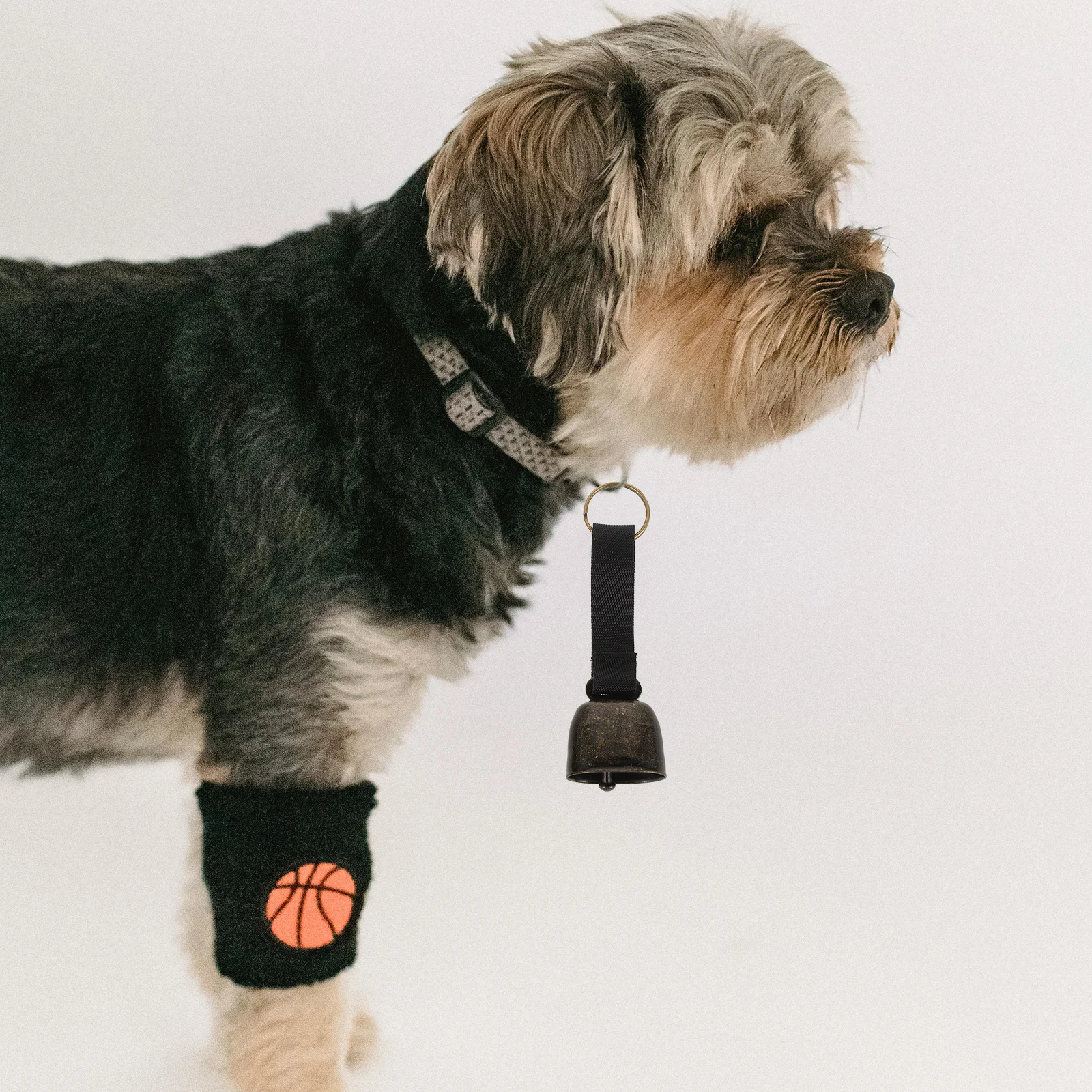 2 Buah Lonceng Pelacak Hewan Peliharaan, Lonceng Beruang yang Keras, Lonceng Webbing Luar Ruangan dengan Gesper, Lonceng Kecil untuk Kalung Anjing, Anti Maling, Pembuat Suara untuk Hiking