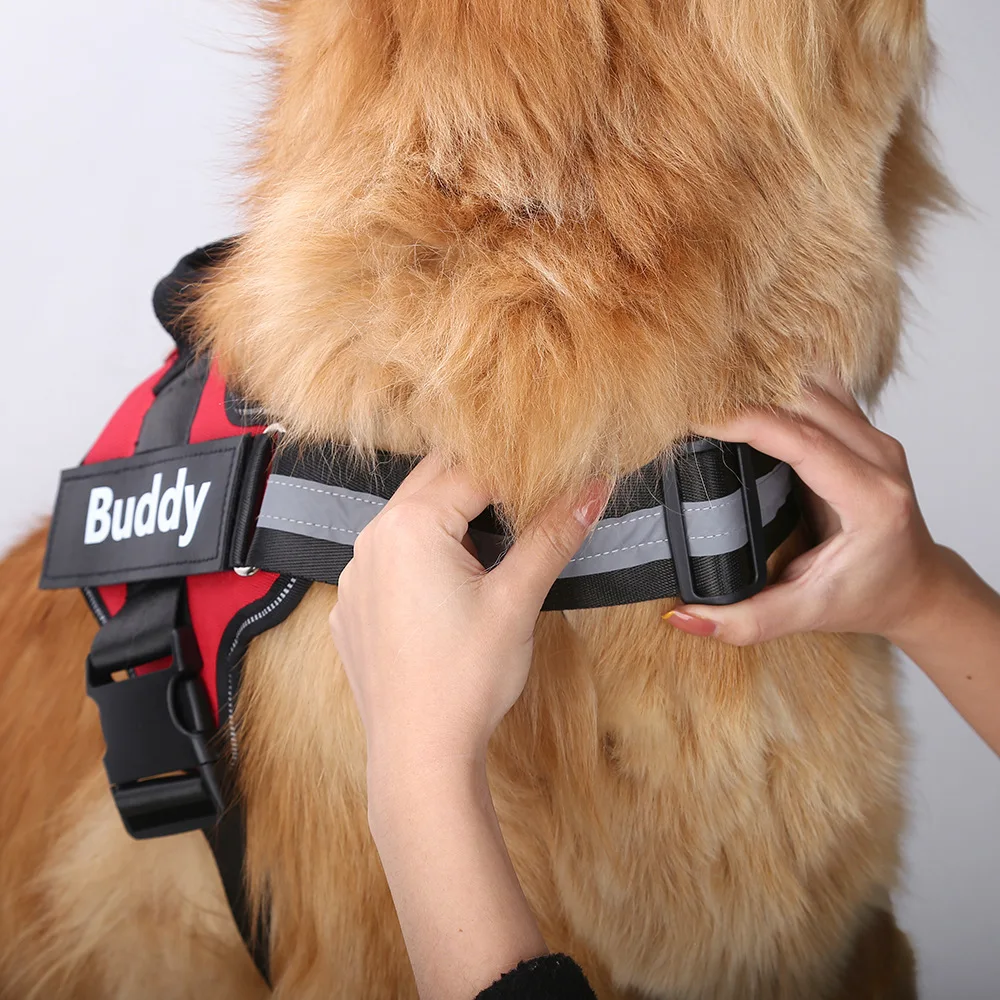 Personalized Dog Harness Reflective Breathable Pet Vest For Small Large Dog outdoor Walk Training Accessories honden accessoires