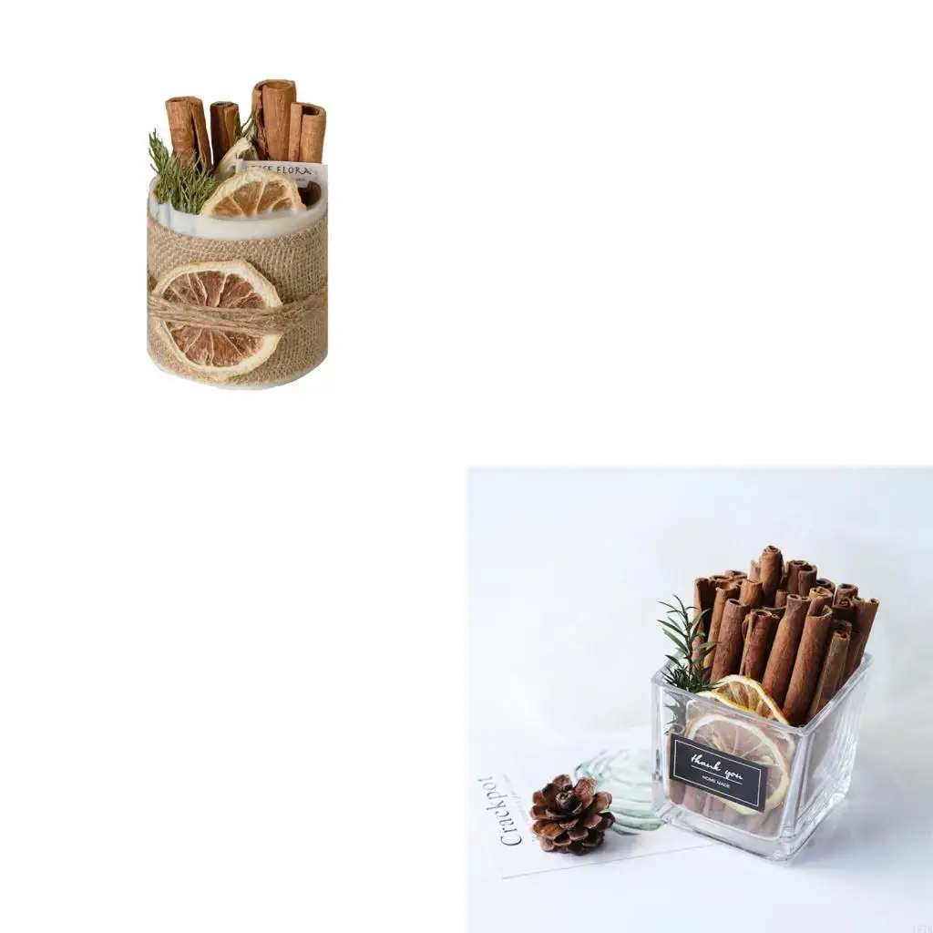 5 piezas/paquete palitos canela natural premium planta real para dormitorio sala estar