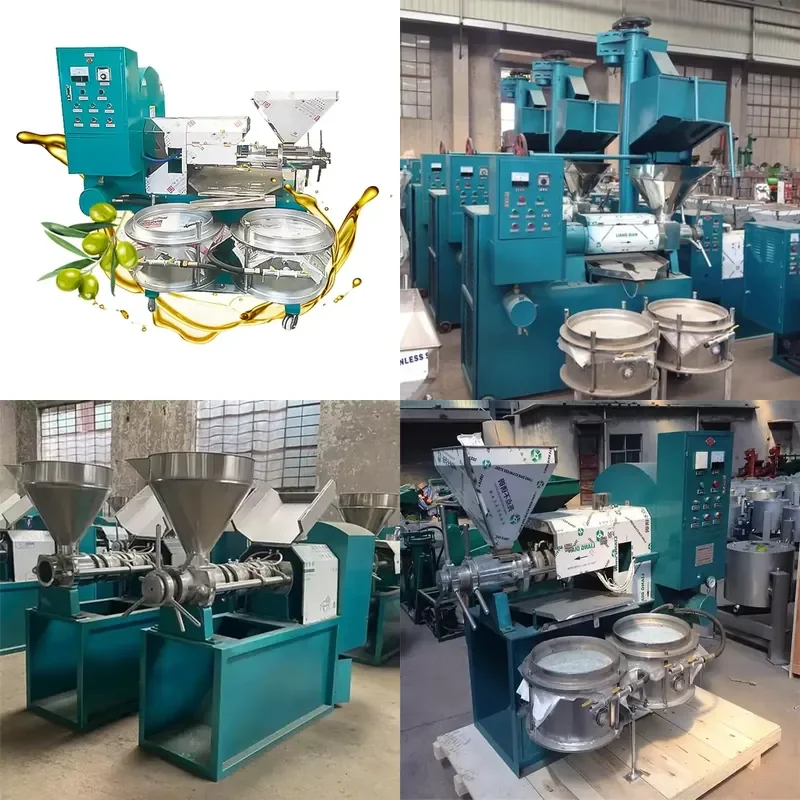 for 50 kg h 600 kg h Corn Oil Press Castor Sunflower Seed Cold Oil Press Mustard Edible Oil Manufacturing Machine in Kenya