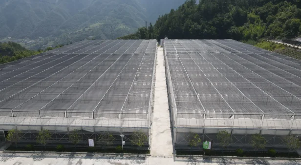 2025Dust Prevention Moisturizing Shade Net Garden Patio Cover for Agricultural Use Outdoor Shade Sails & Nets