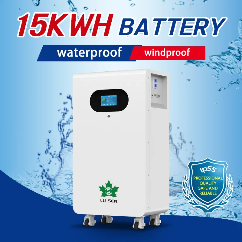 

51.2V 300Ah 15Kwh LiFePO4 Battery BMS Protection Class for Home & UPS Applications 10kwh Capacity with MSDS Certificate