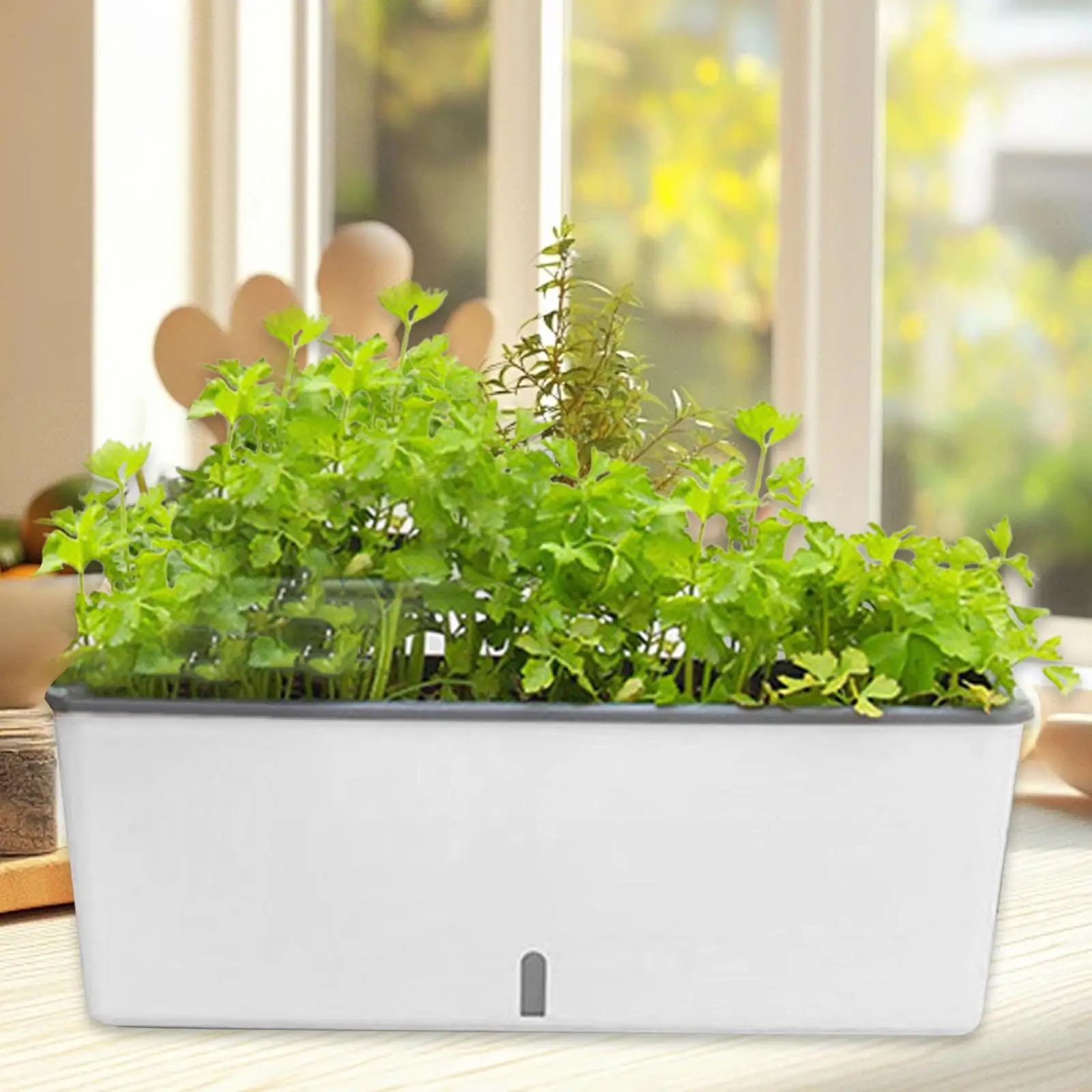 Window Box Flower Pot Multipurpose Self Watering Rectangular Planter for Indoor