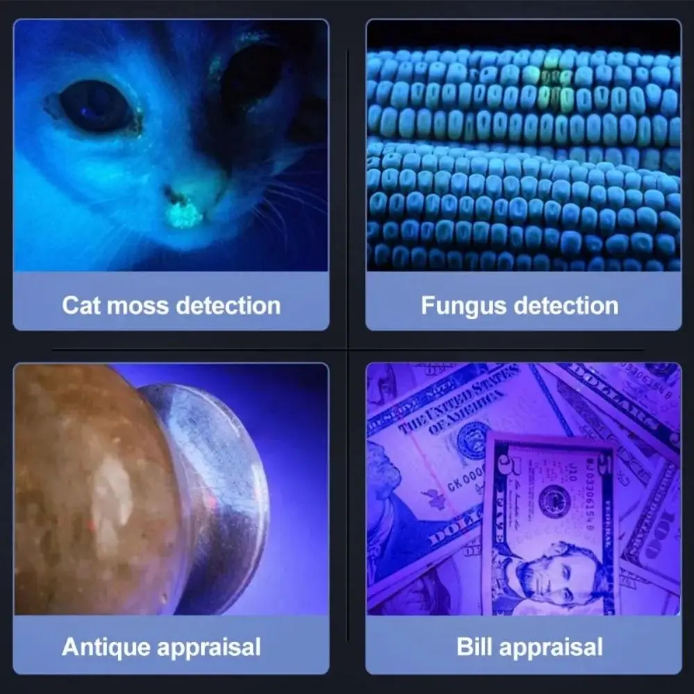 New Mini UV Flashlight 365nm Rechargeable Ultra Violet Lights Waterproof USB Money Detector Light