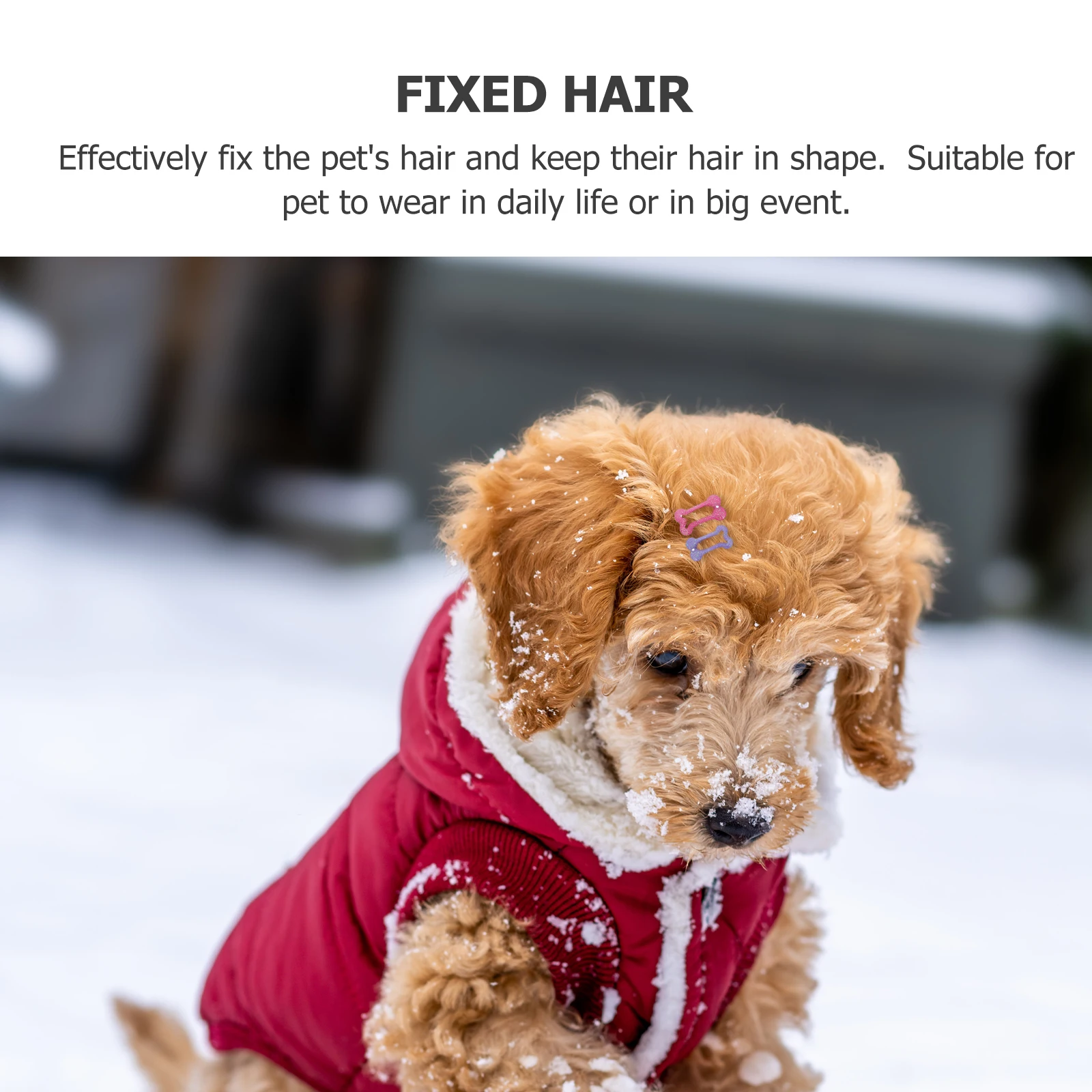 

15 Pcs Dog Hair Clips 2 5cm Bone Shaped Pet Accessories for Daily Wear Mixed Colors Decorative Puppy Ears Clip Dog