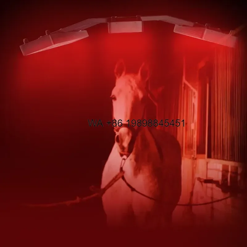 Wmwmnu for Horse Full Body Solarium with Red Light Infrared for Pain Relief Veterinary Instrument