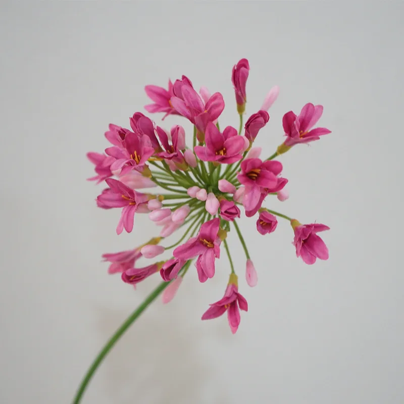 豪華なアフリカの人工アガパンサスの枝,シルクの花,ホテルの装飾,家とテーブルの装飾,写真アクセサリー