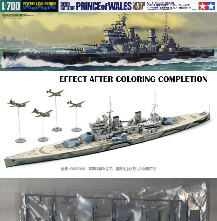 TAMIYA Assembly Ship Model Kit, British Prince of England Battleship, 1/700, 31615