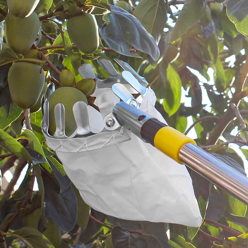 Imagem -03 - Metal Fruit Picker Pomar Jardinagem Apple Peach Ferramentas Colheita Alta Árvore Coletor Frutas Ferramentas Jardinagem Ferramentas Jardinagem
