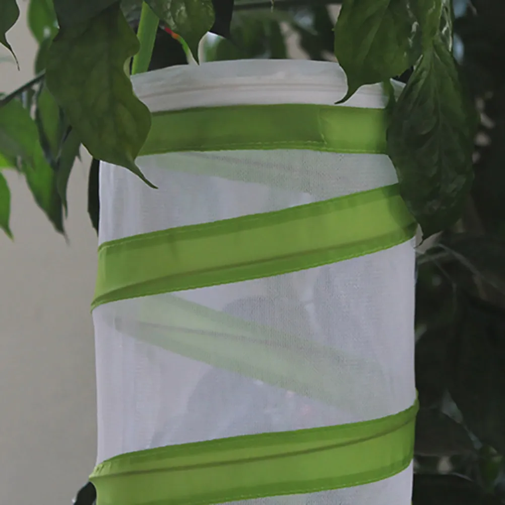 2 Pezzi Gabbia per Insetti per Bambini da Esterno, Portatile con Manico, Scatola per l'Osservazione della Natura, Casa per Insetti per Bambini