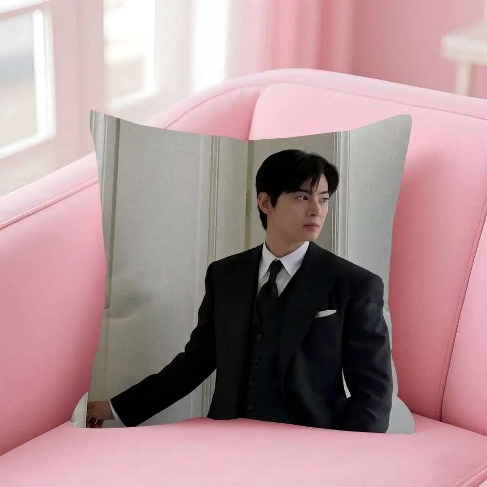 Singer Cha ido EunWoo Doppelseitig bedruckter Kissenbezug aus kurzem Plüsch. Geeignet für Wohnzimmer, Schlafzimmer, Sofas, Dekokissenbezüge – Detail 8