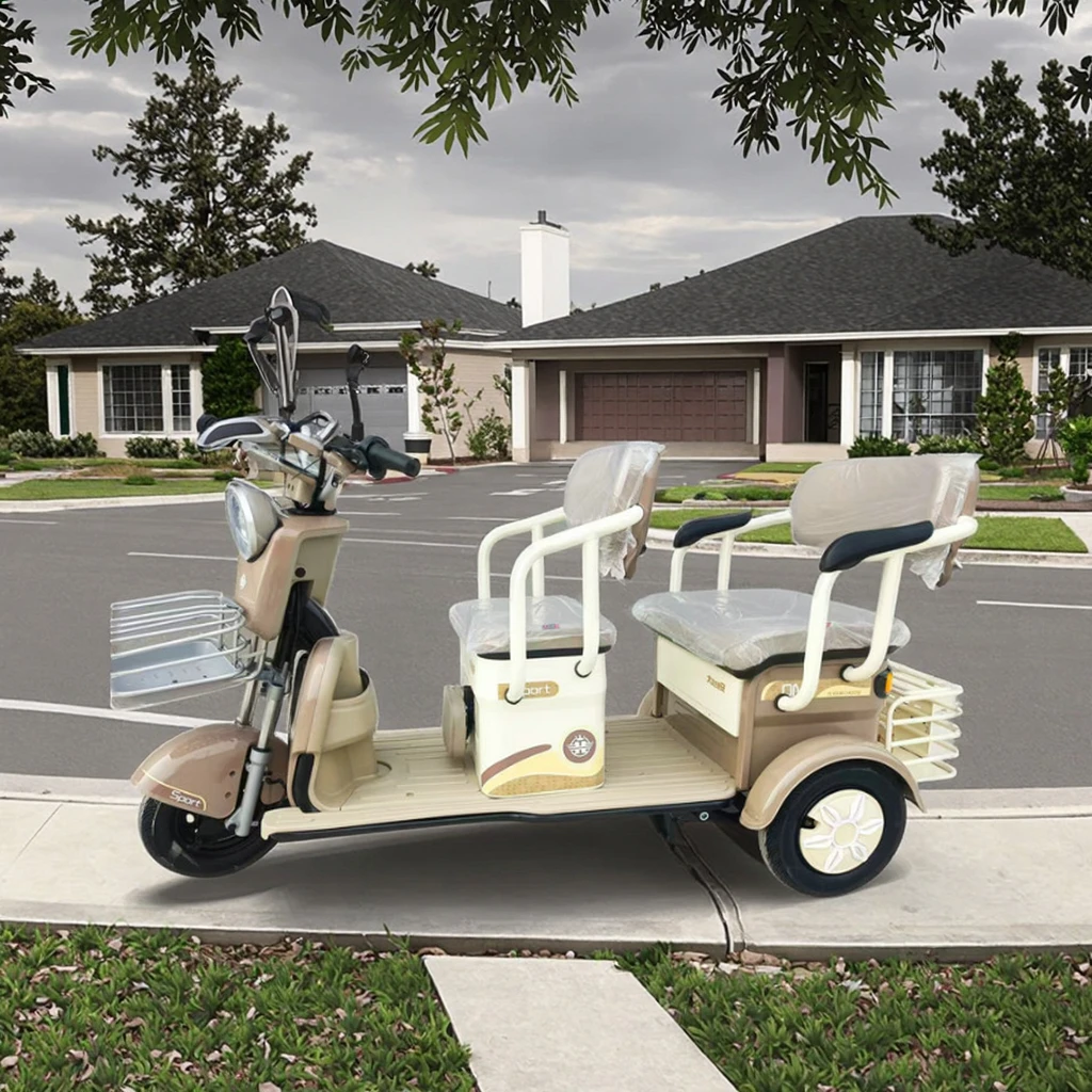 ترقية الساخن بيع 650 واط/800 واط الكهربائية الصلب المفتوحة الجسم 3-عجلات الركاب دراجة ثلاثية العجلات #5