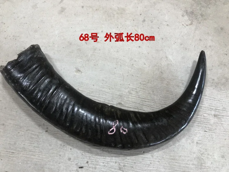 

Сырье из рога буйвола, орнамент, необработанное, необработанное