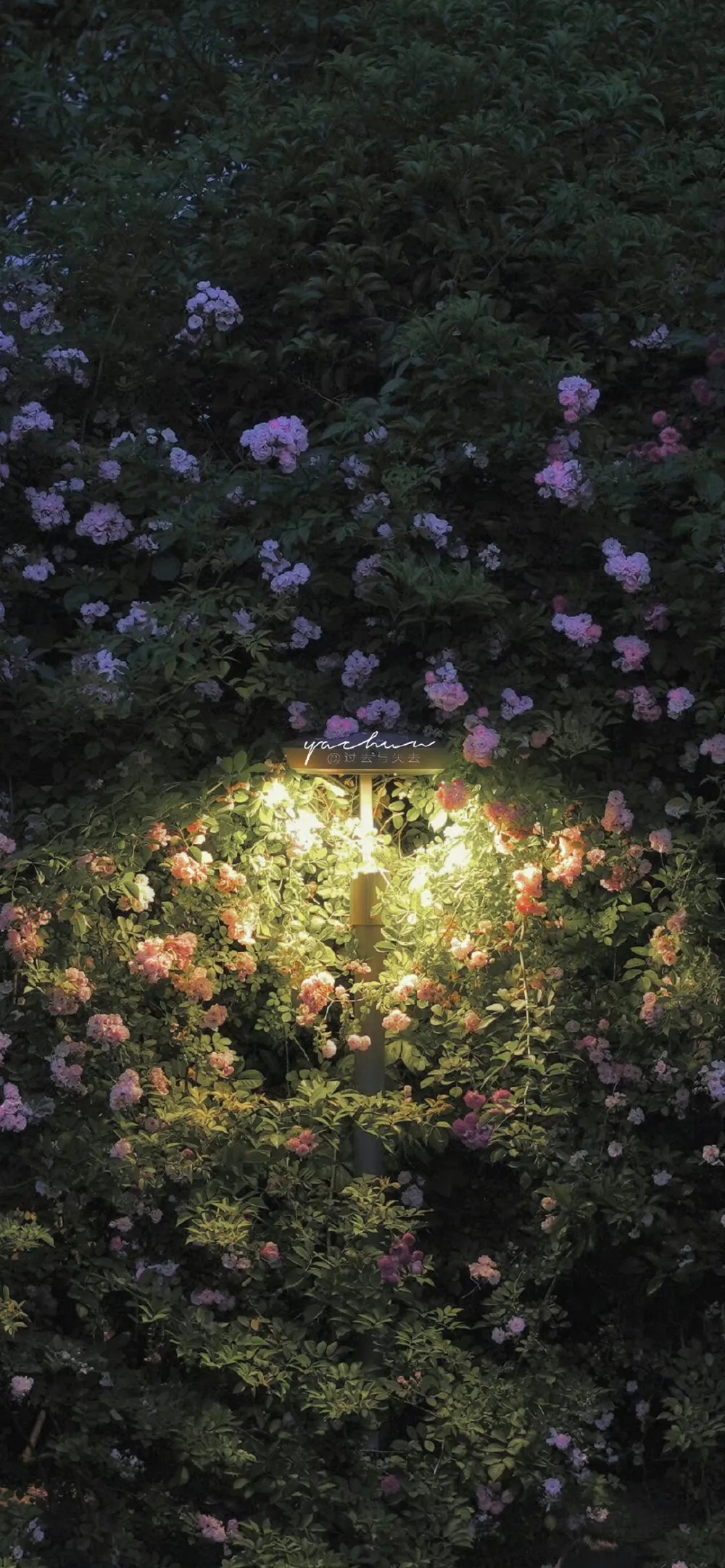 

Комплект из 4 металлических колес с бедлоками (OD 62 мм, 1.0 дюйма) для радиоуправляемых краулеров 1/18 (TRX4M, SCX24) – запчасти и аксессуары для тюнинга