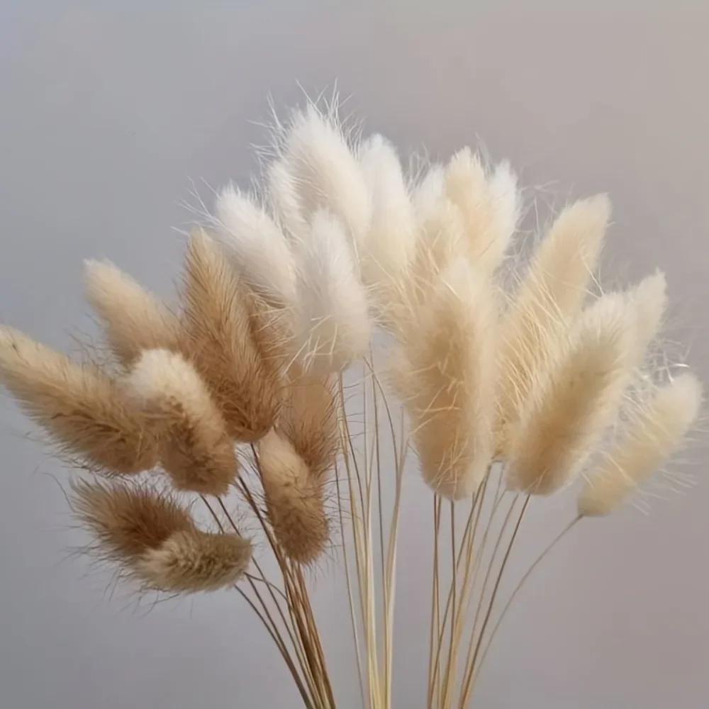 

Mixed Bouquet for Wedding Decor 55Pcs Natural Bunny Rabbit Tail Grass Dried Flower Fluffy Pampas Home Table Christmas Decoration