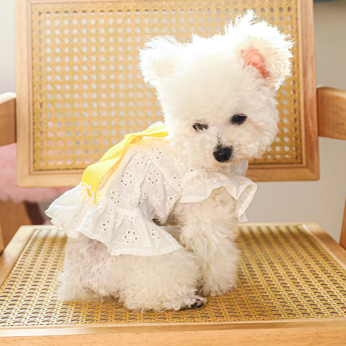 1PC Pet Clothing Dog Summer White Hollow Breathable Dress with Bow Knot Hollow out Suitable for Small and Medium sized Dogs