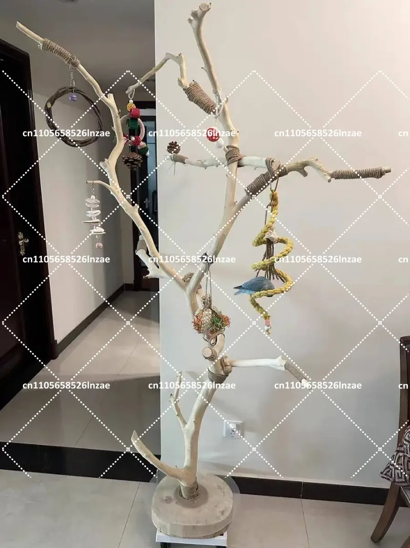 Natural Wood Bird Stand with Branch, Perch, Swing, and Solid Wood Base for Parrot Cage Accessories