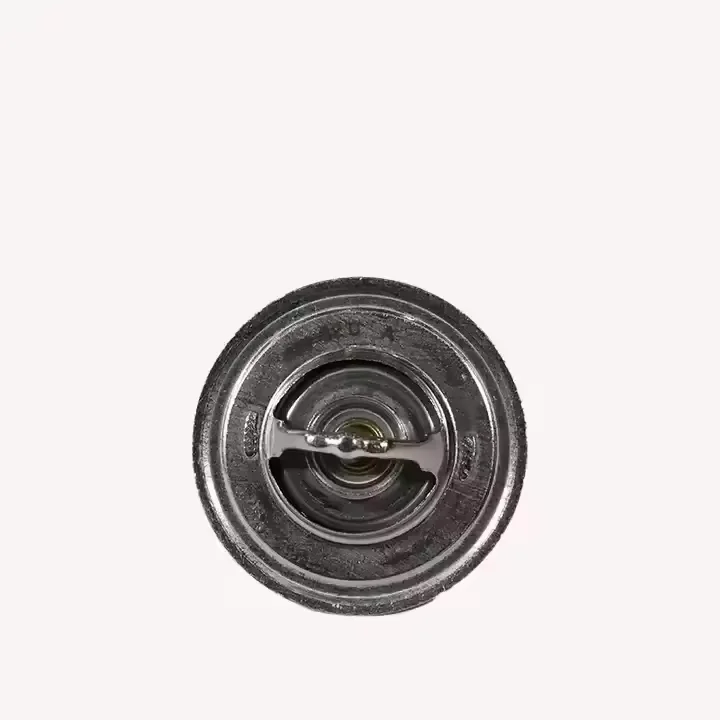 حار بيع 6732-61-1620 ترموستات يناسب PC100-6 PC120-6 PC60-7 4D102 المحرك
