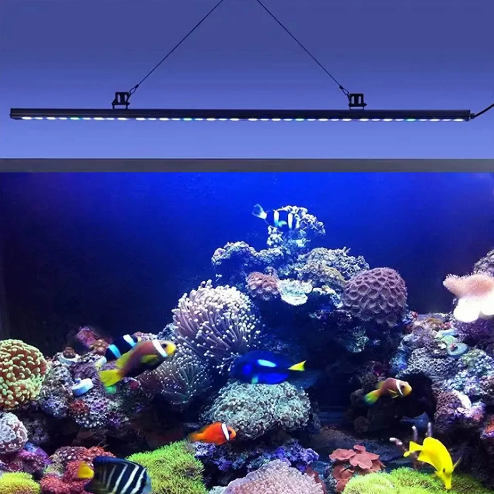 Cusomik 2ft 3ft 4ft 5ft marine aquarium lamp ip65 full spectrum led aquarium light for plant blue uv 410nm 430nm 450nm bar lamp