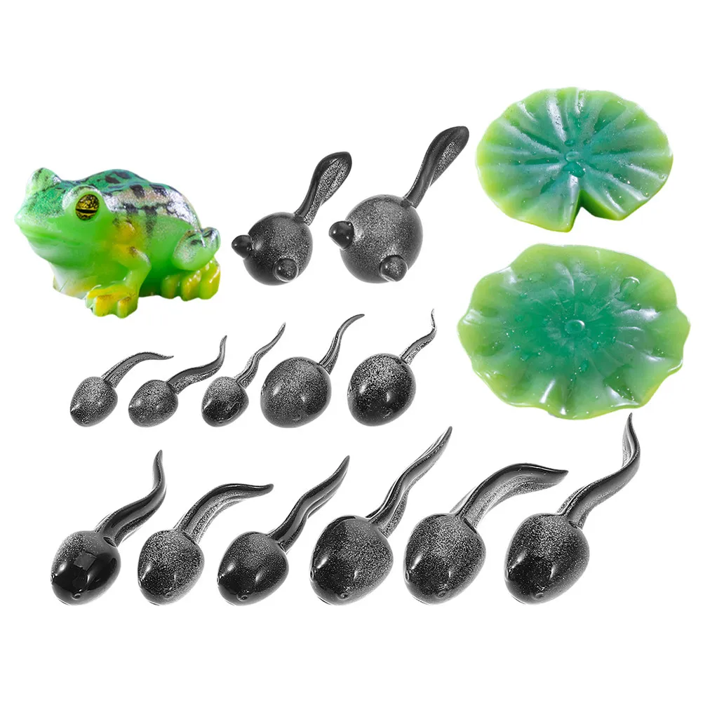 

Набор из 16 реалистичных миниатюрных фигурок животных для микроландшафта: лягушки из смолы для декора сада, террариума, мохового ландшафта, сказочного сада (DIY)
