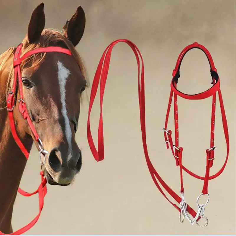 Horse Riding Equipment Durable Horse Head Collar Halter Horse Riding Bridle PVC Horse Racing Equestrian Equipment Horse Halters