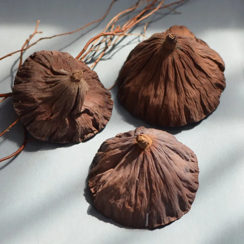 10/12/24pcs Real Lotus Pods Rustic Country Mori Style Christmas Wreaths Dried Flower Arrangement Decorations Home Decoration