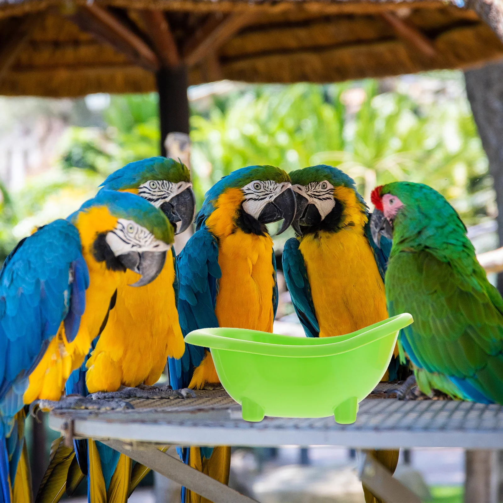 

2Pcs Parrot Bathing Basin Premium Plastic Bird Bath Tub for Small Birds Multifunctional Cage Accessory Pet Shower Basin Strong