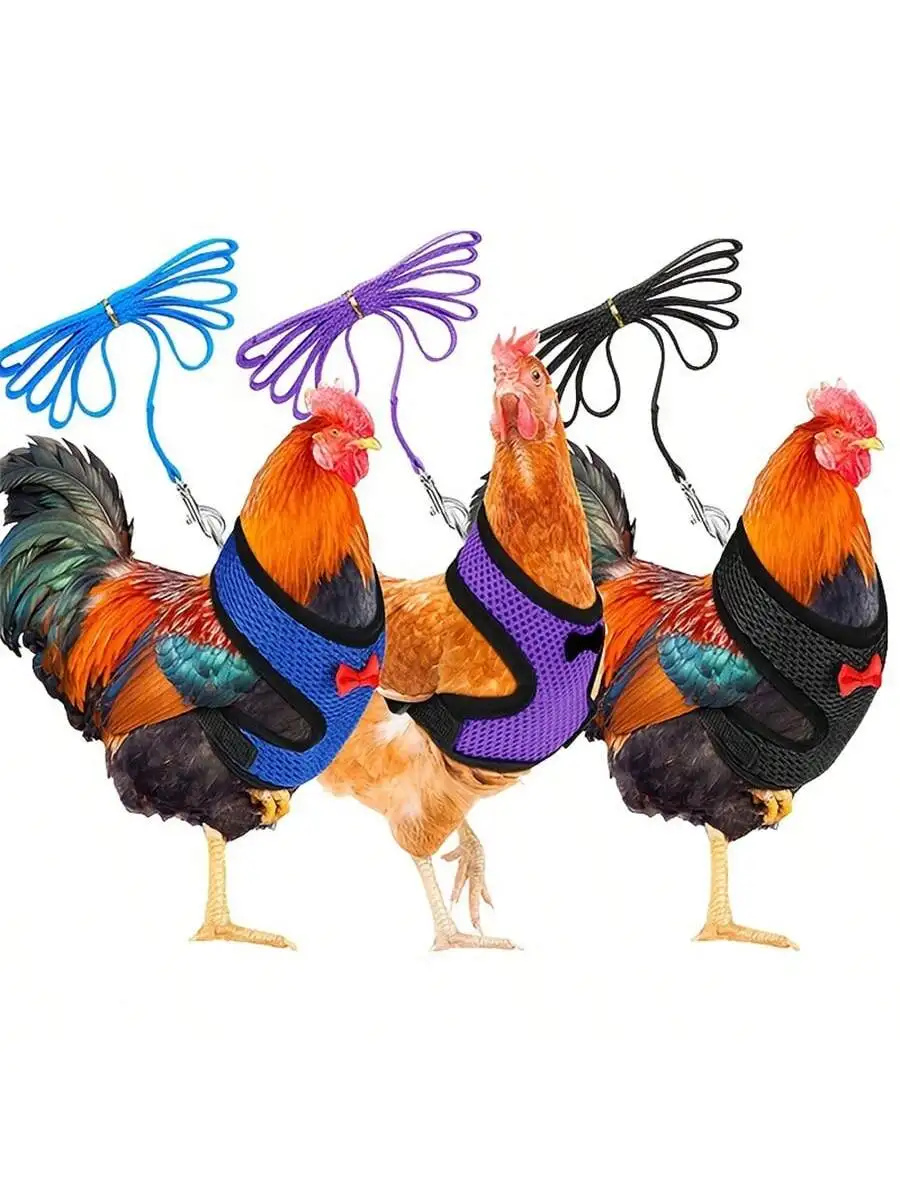 Arnés para pollos de 1 pieza, cinturón ajustable, con correa, adecuado para patos y gansos, diseño con cordón - Chaleco de malla transpirable y cómodo para gallinas