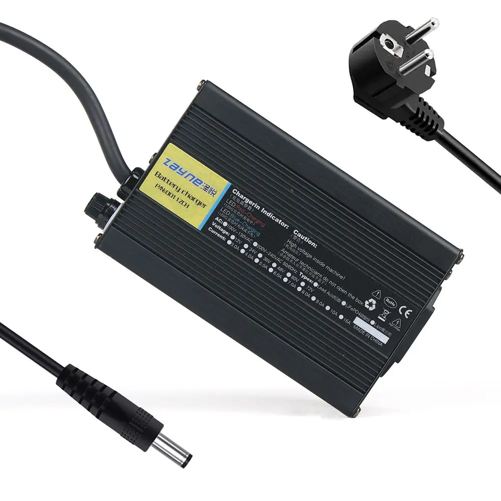 Direct Sales Manufacturer 14.6V 10A 29.2V 43.8V 58.4V 3A 73V LiFePo4 Battery Charger for Electric Bicycle SCP OVP AC/DC
