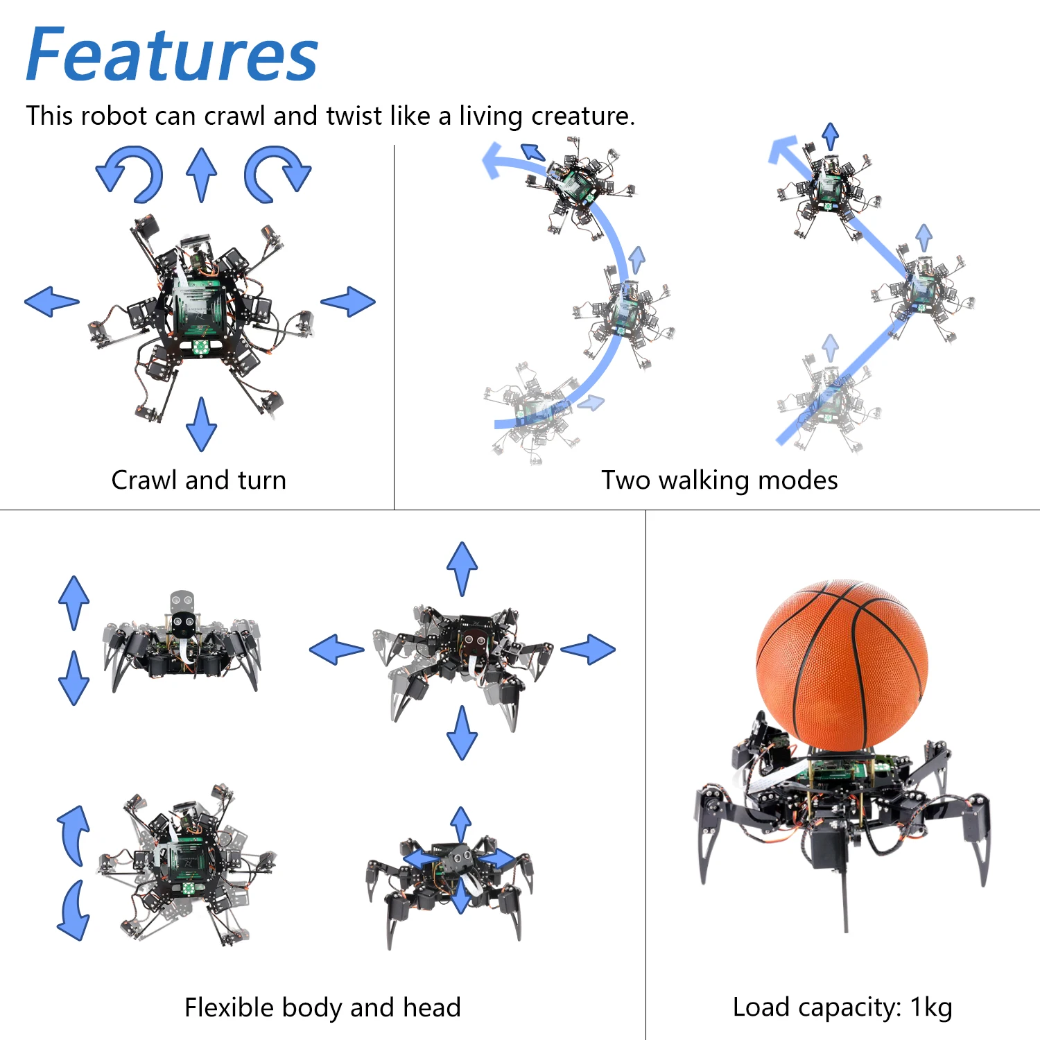Kit de robot hexápodo grande F - Line Follower Robot reseña y precio