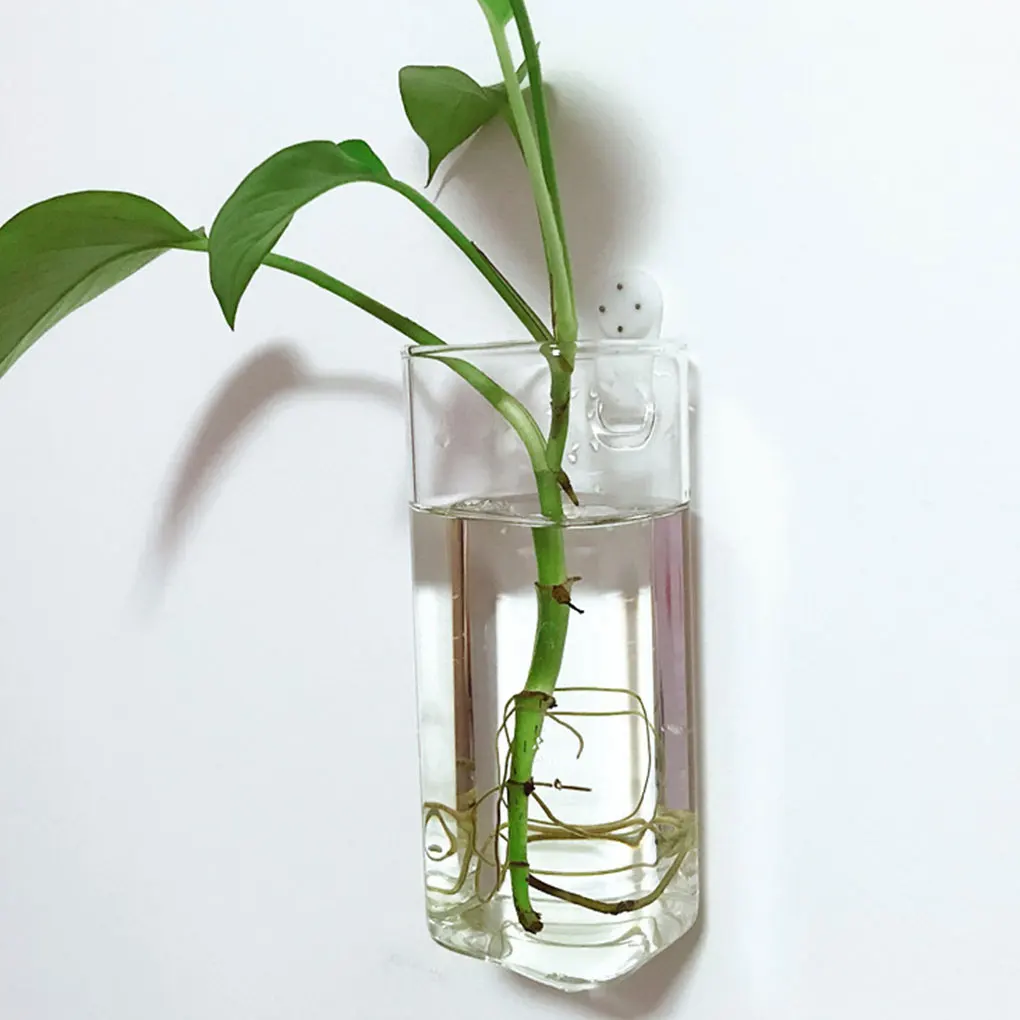 Decoration With Beautiful And Eye-catching Wall Hanging Glass Planters Wide Application Unique
