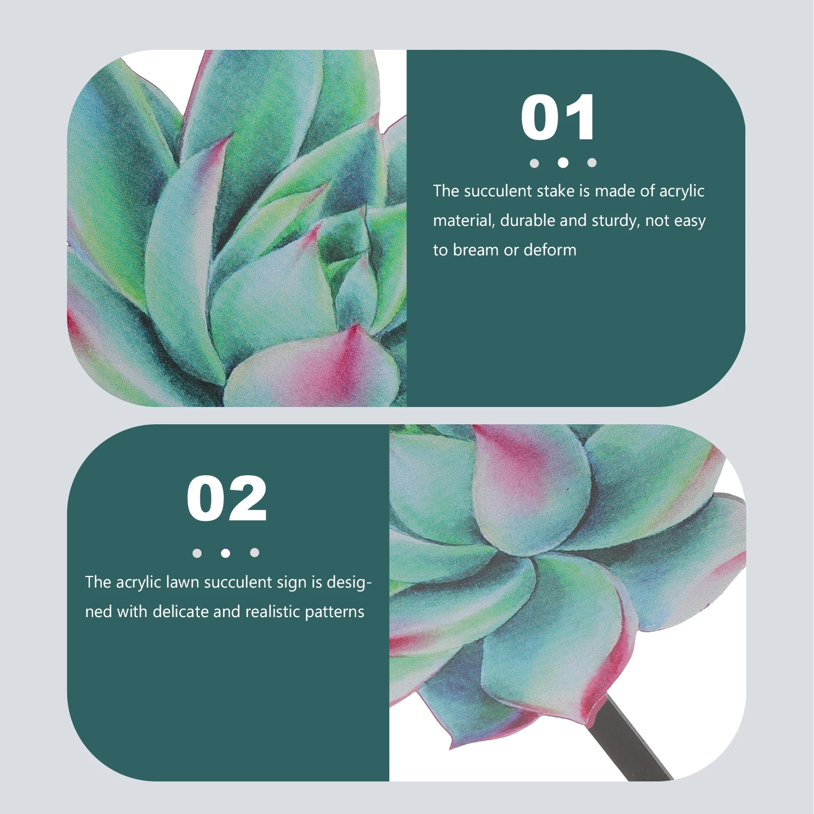 

Acrylic Succulent Stake Garden Decor Outdoor Lawn Plant Sign Yard Ornament Landscaping Decoration Garden Insert Stake