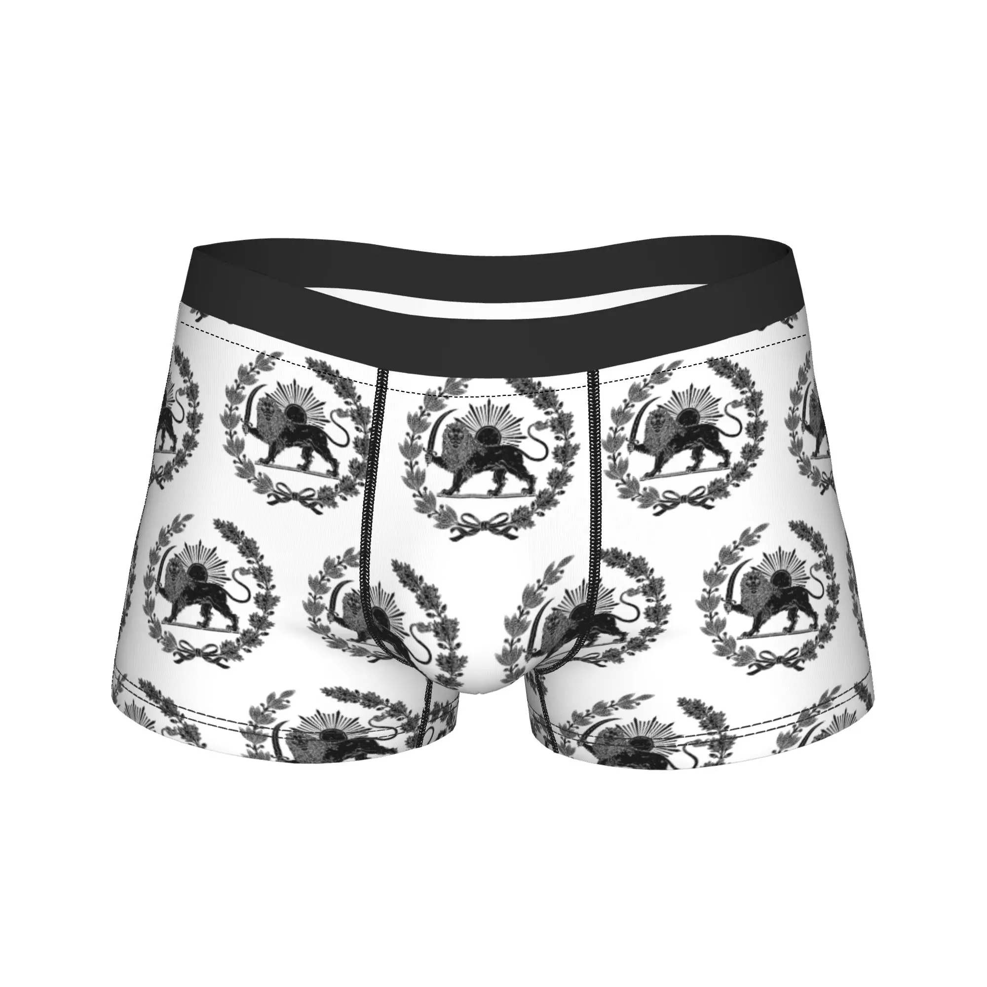 

Men Iran Persian Lion and Sun Symbol Boxer Briefs Shorts Panties Mid Waist Underwear Male Novelty Plus Size Underpants
