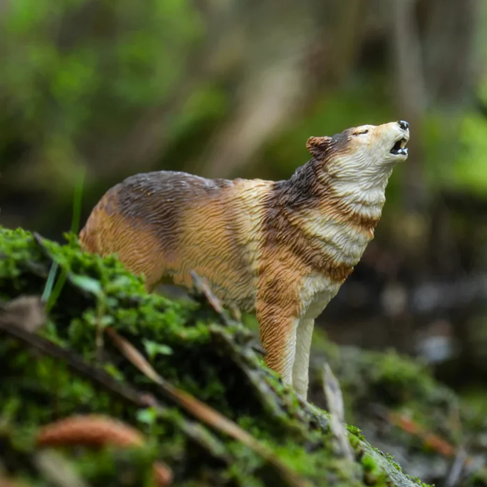 Toymany Simulation Wolf Wildlife Animal Model Toy Mini Figures Dolls Action Figurines Toys for Children Gift Cake Decoration - Image 6