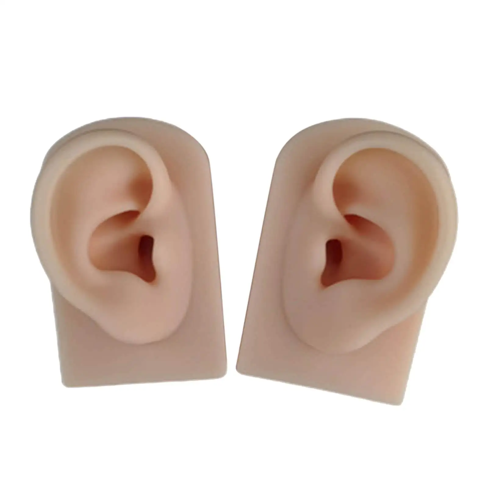 Super Soft Silicone Simulation Fake Ear Model Natural Size for Piercing Practice Jewelry Display Teaching Tool