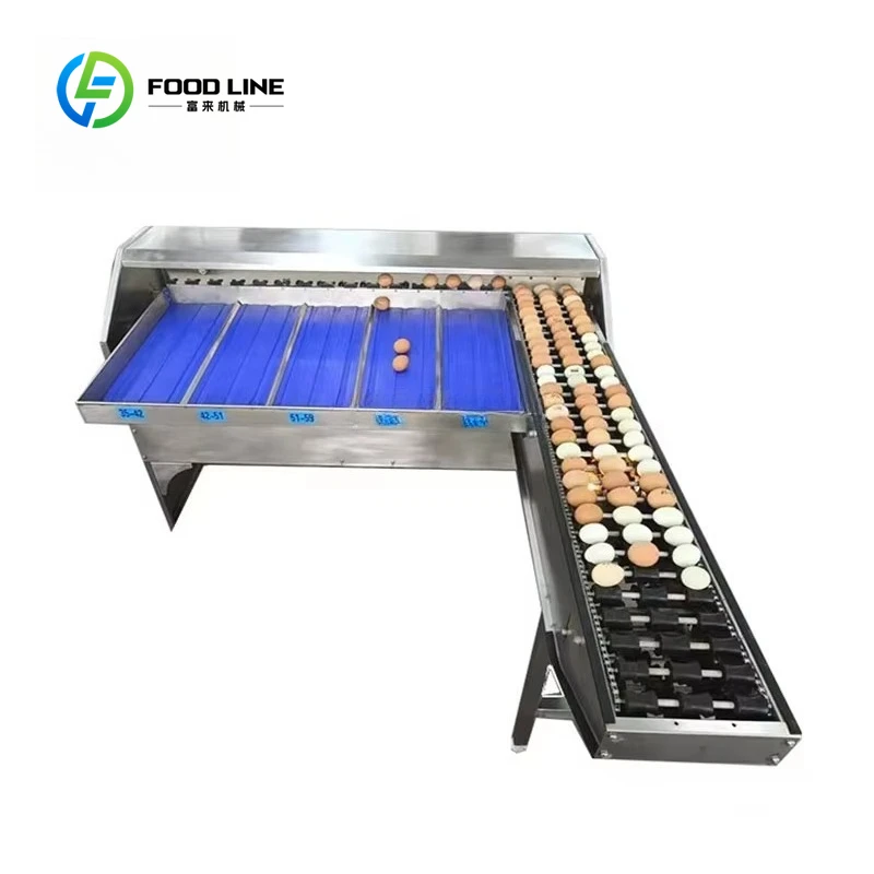 

Heavy Duty Customized Egg Sorting Grading Machinery Automatic Chicken Egg Weighing Sorter for Poultry Farm
