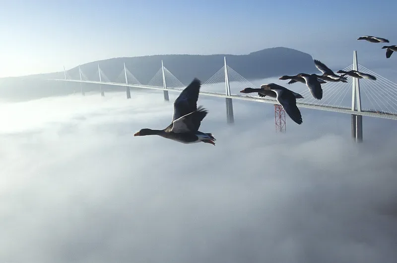 

2 пары пропеллеров Gemfan Freestyle 5226 — 3-лопастной ПК 5,2X2,6X3 (CW и CCW), для FPV Racing Long Range RC Multirotor