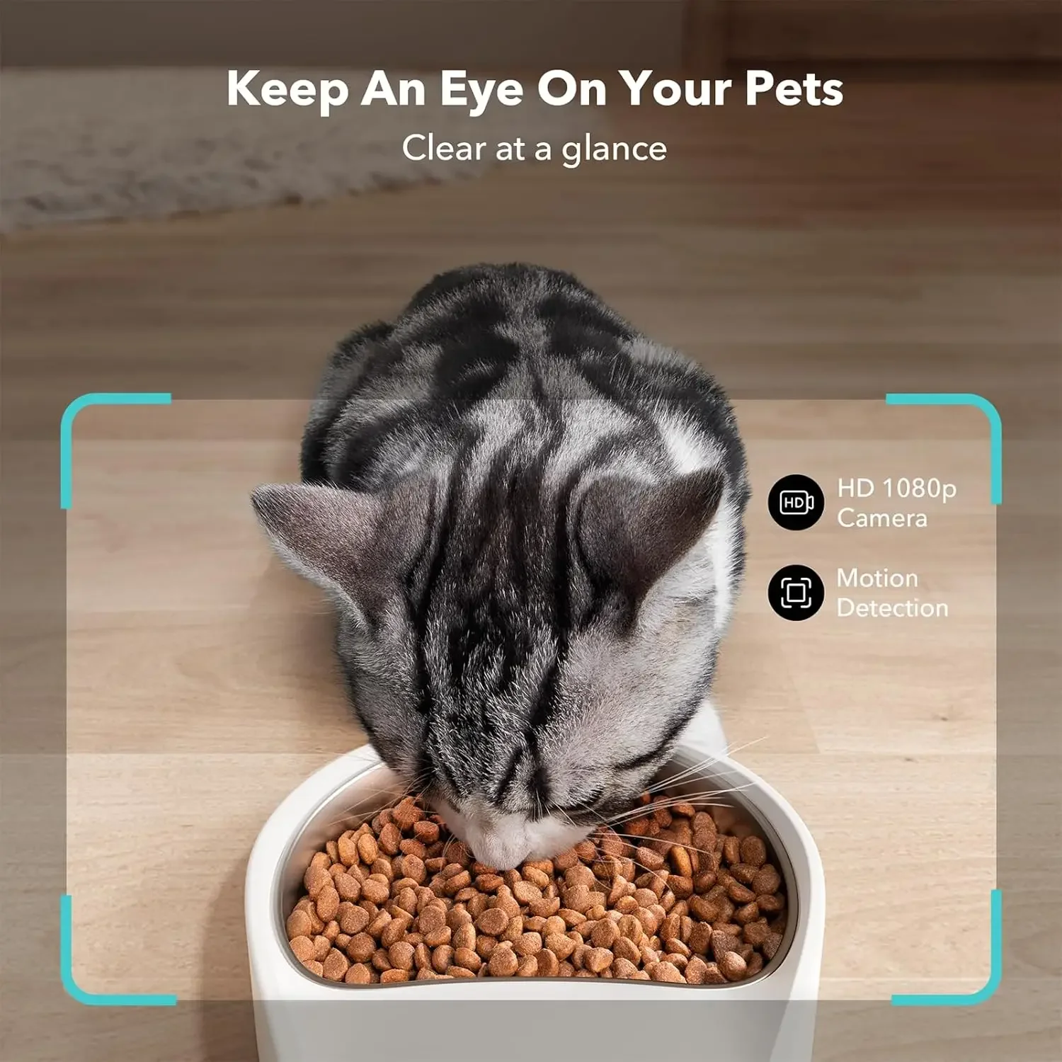 Automatic Cat Feeder with Camera, 1080P HD Video with Night Vision, 5G WiFi Pet Feeder with 2-Way Audio, Low Food & Blo