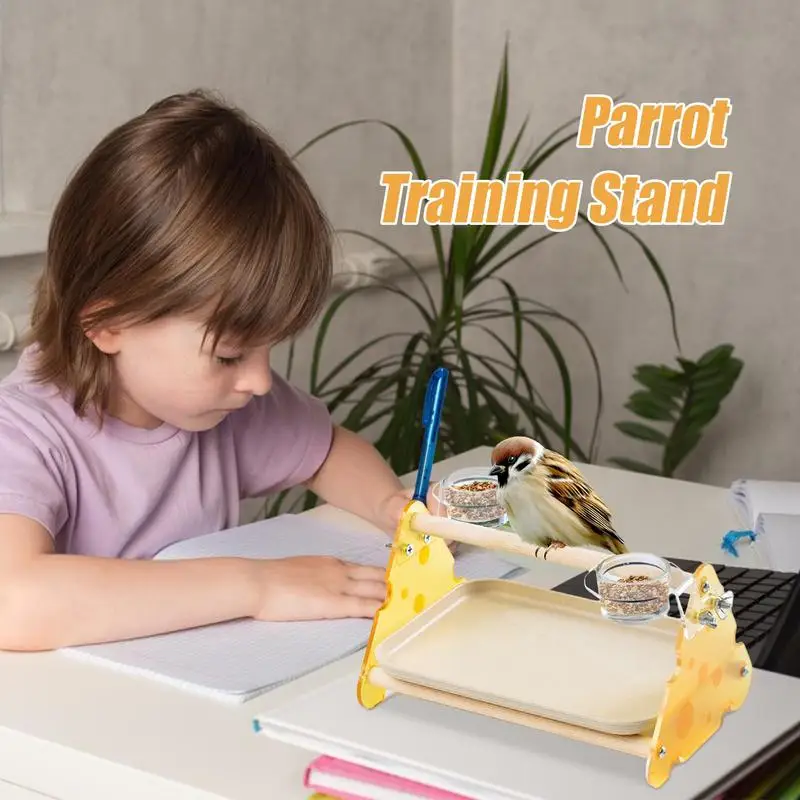 منضدية الطيور جثم الببغاء ملعب الصالة الرياضية مع أكواب التغذية سطح المكتب Playstand قفص لعبة لطيور الحب الببغاوات الكونيور
