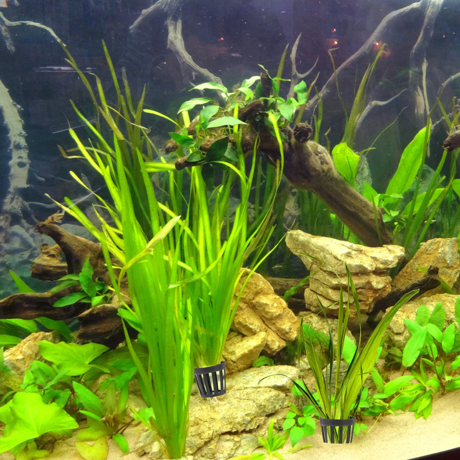 

50pcs Water Plant Basket Plastic Hydroponic Basket For Aquariums Fish Tank Accessories Garden Supplies Nursery Holder Hollow