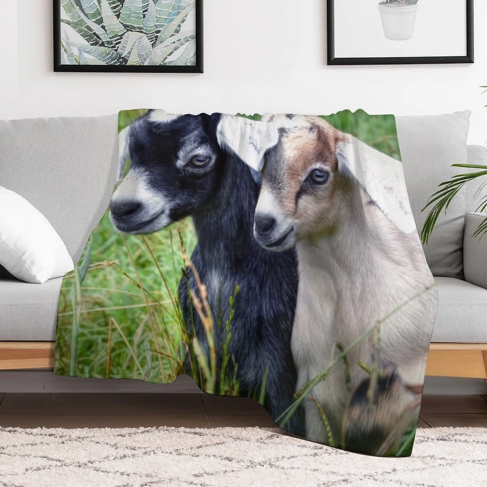 

Two Baby Goats Throw Blanket Single Soft Big valentine gift ideas Thermals For Travel Blankets