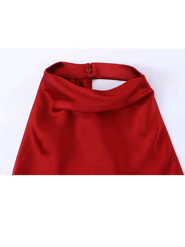 HH Woman Spring Fashion Sleeveless Sexy Backless Halter Collar Silk Satin Texture Long Dress Female Elegant Chic Banquet Dress